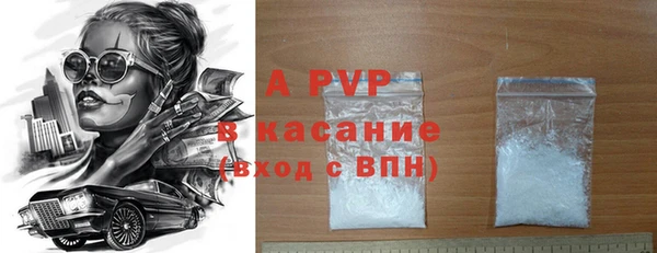 стаф Алексин
