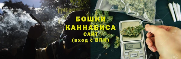 PSILOCYBIN Навашино
