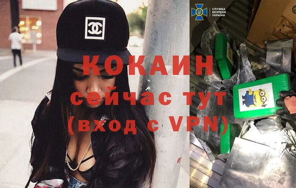 стаф Алексин