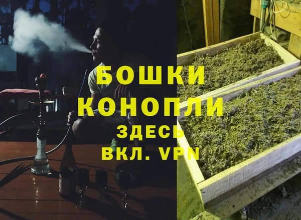 винт Алзамай