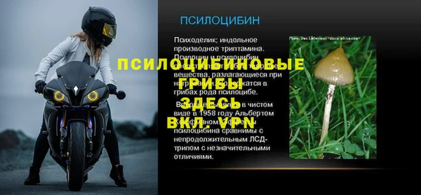 ECSTASY Алексеевка